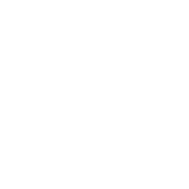 FLUX.2 Pro
